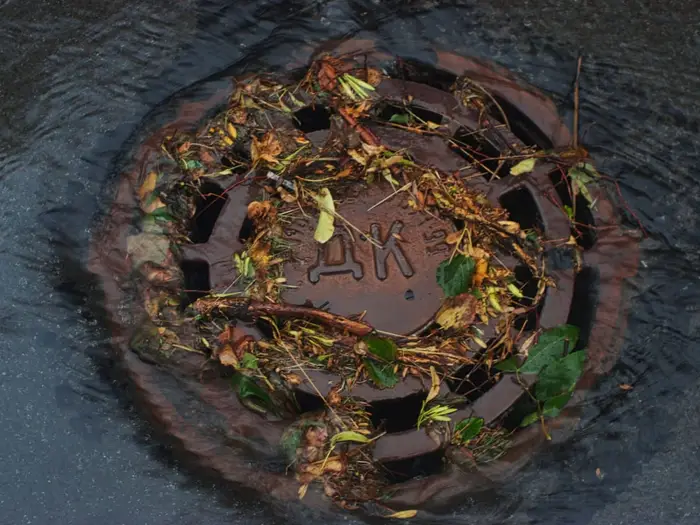 Street drain cover clogged with leaves and debris as rainwater pools around it