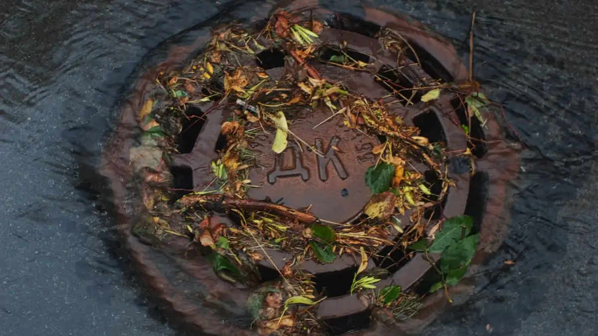 Street drain cover clogged with leaves and debris as rainwater pools around it