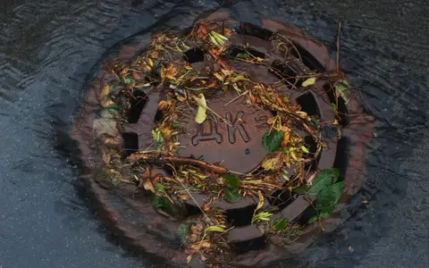 Street drain cover clogged with leaves and debris as rainwater pools around it