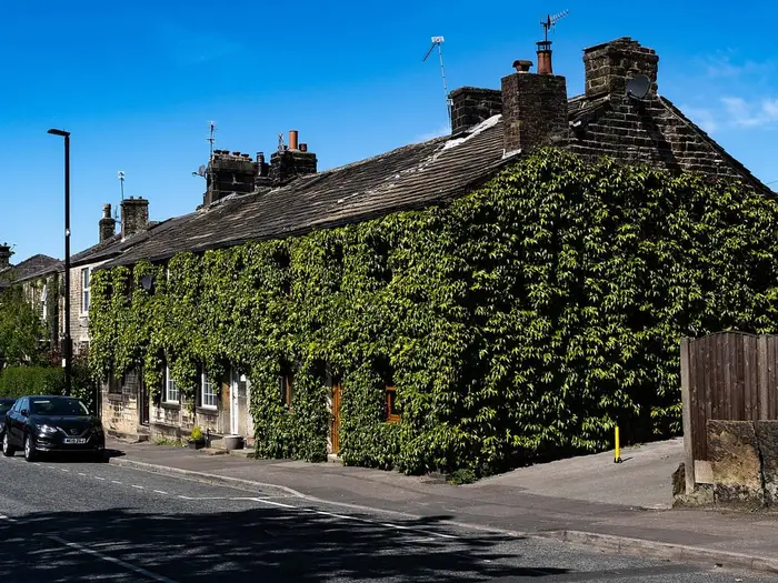 Ivy-covered stone buildings on Church Street, Littleborough