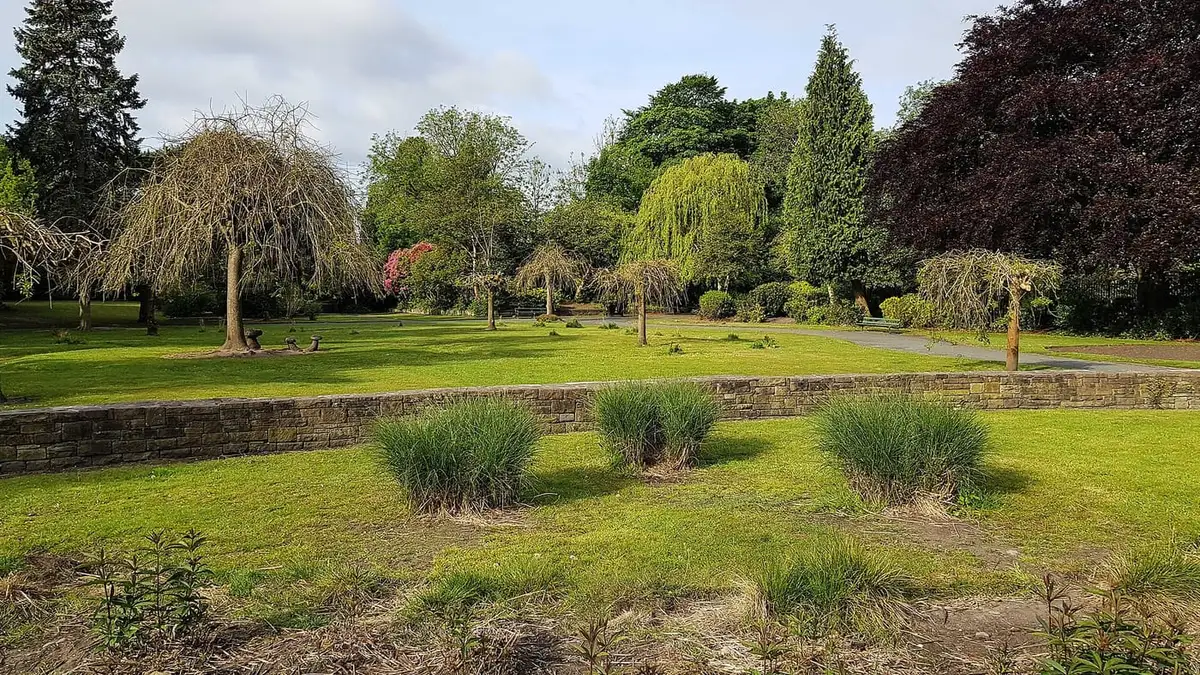Trees and lawns in Longford Park, Stretford, on a sunny day